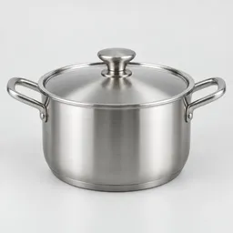 Centered stainless-steel cooking pot with a fitted lid and side handles on a neutral light background.