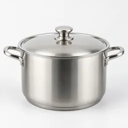 Large stainless steel cooking pot with fitted lid, centered on a neutral light background.