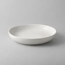 A single shallow white ceramic dish centered on a light neutral background.