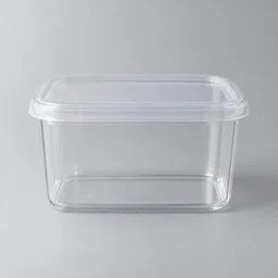 A clear rectangular plastic storage container with a translucent lid, photographed alone against a light neutral background.