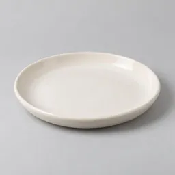 Centered warm-white ceramic dish on a neutral light background.