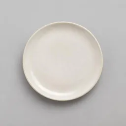 Centered small off-white ceramic plate on a neutral light background.