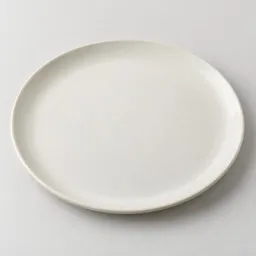 Centered large off-white ceramic dinner plate photographed against a neutral light background.