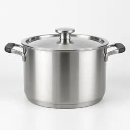 Centered generic 5-quart stainless-steel pot with side handles and fitted lid on a neutral light background.
