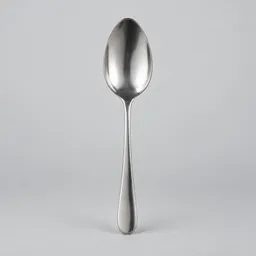 Centered stainless-steel spoon photographed against a neutral light-gray background.