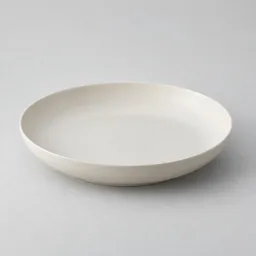 Centered wide shallow off-white ceramic dish on a neutral light background.